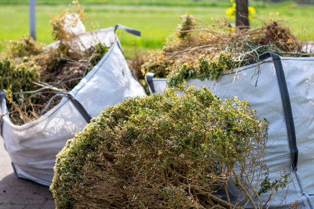Best Professional Junk Removal  in Tlassee, AL